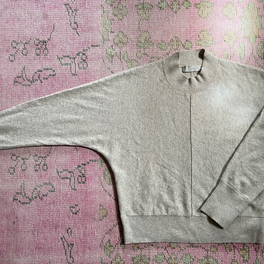 Everlane Cashmere Mock Neck Sweater